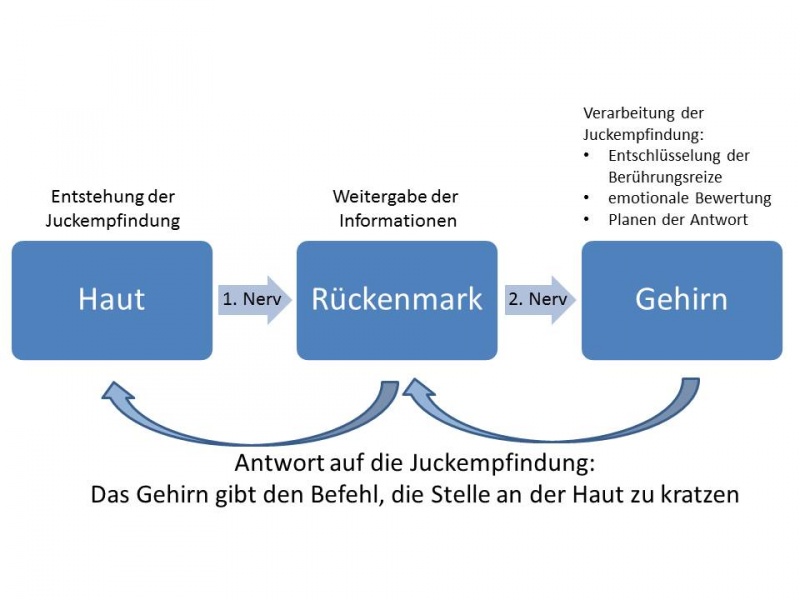 Datei:Abbildung 3.jpg