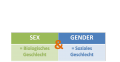 Sex & Gender.png